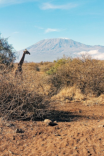 Kenia (121)